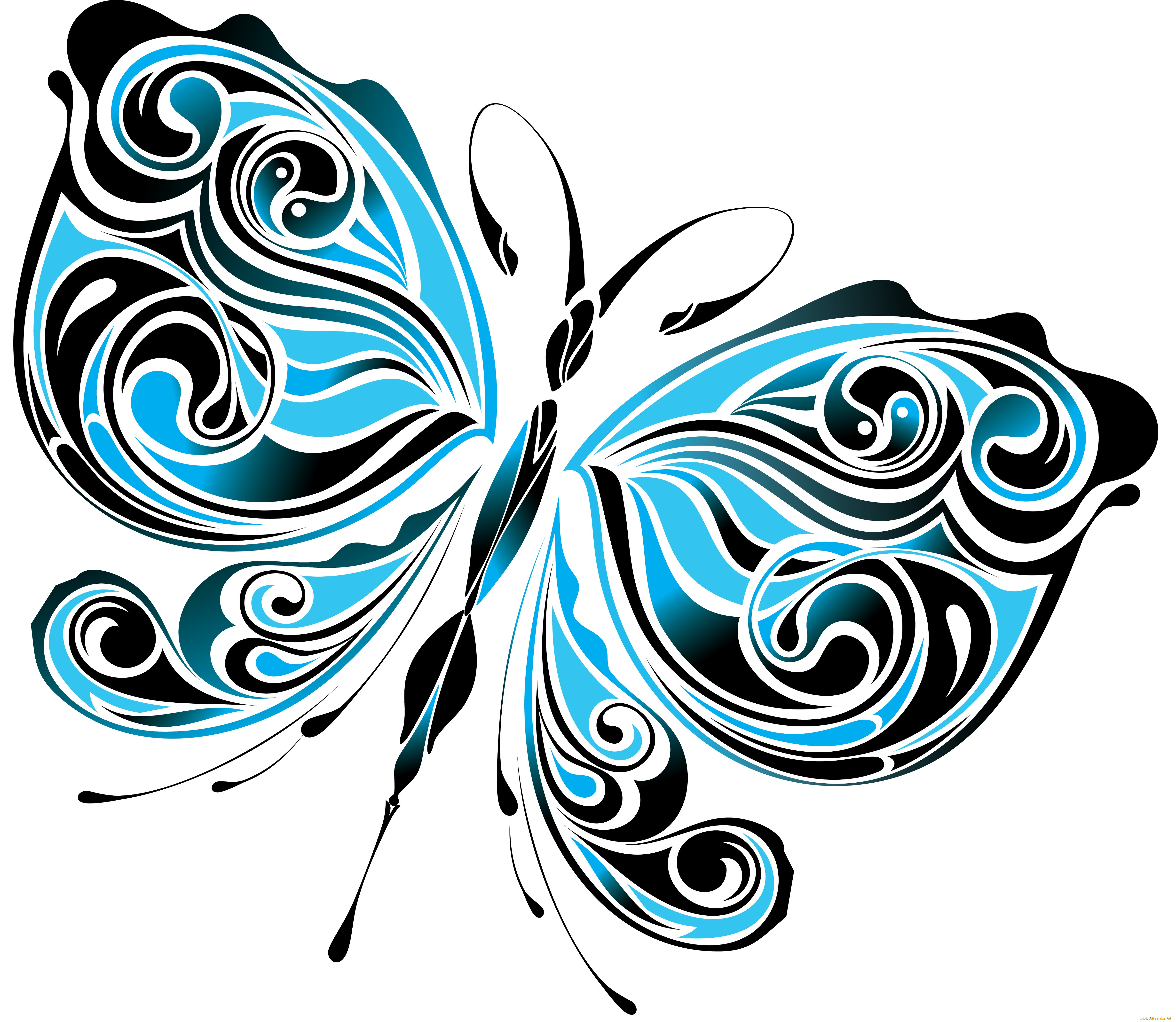 Картинки вектор. Орнамент бабочки. Красивые узоры бабочки. Узорчатая бабочка. Красивые векторные рисунки.